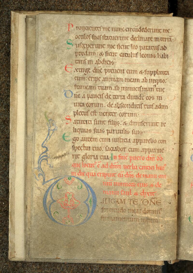 Douai, Bibl. mun., ms. 0009, f. 011v