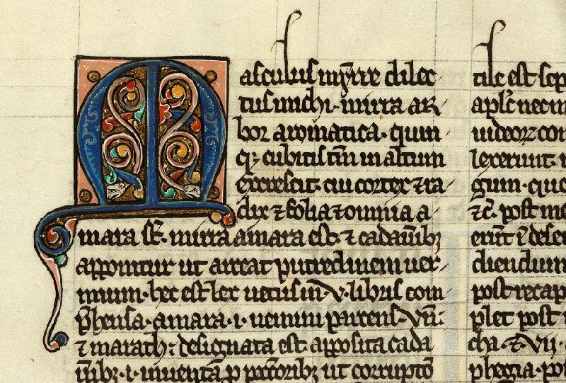 Douai, Bibl. mun., ms. 0017, t. II, f. 213