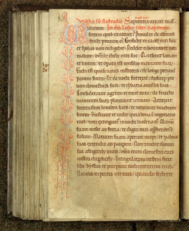Douai, Bibl. mun., ms. 0096, f. 091v