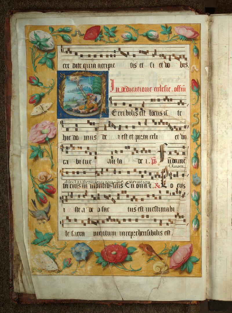 Douai, Bibl. mun., ms. 0108, A f. 176v - vue 1