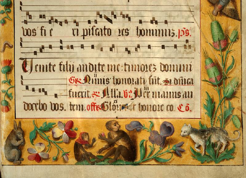 Douai, Bibl. mun., ms. 0109, A f. 001 - vue 4