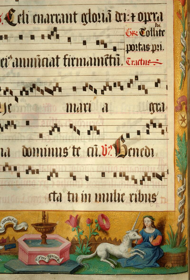 Douai, Bibl. mun., ms. 0109, A f. 012v - vue 6