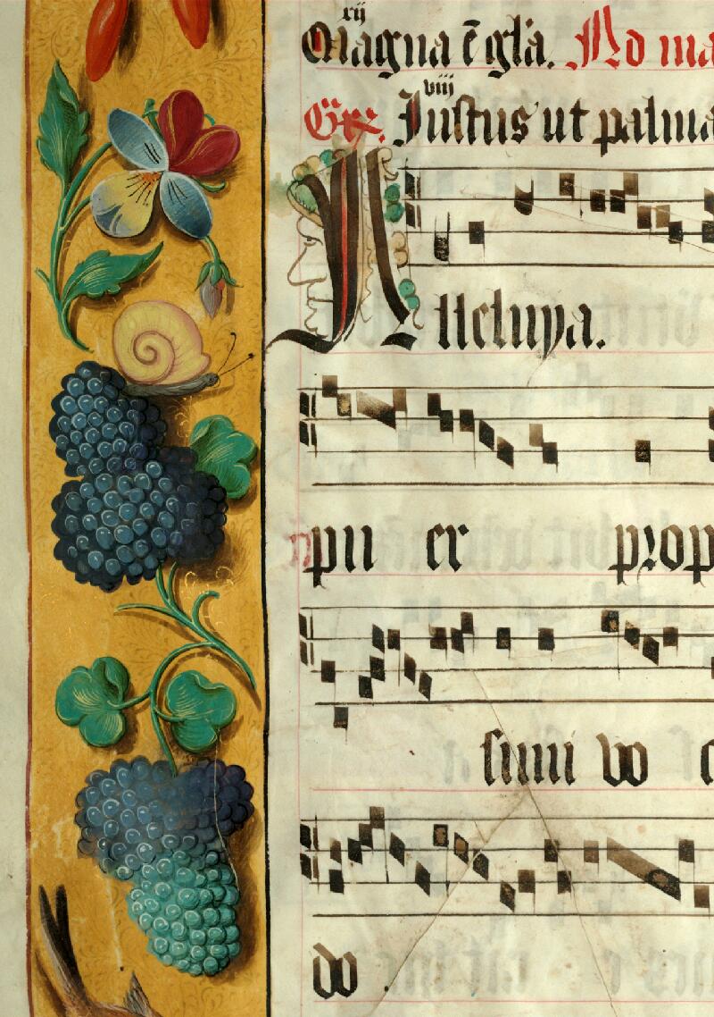 Douai, Bibl. mun., ms. 0109, A f. 018v - vue 3
