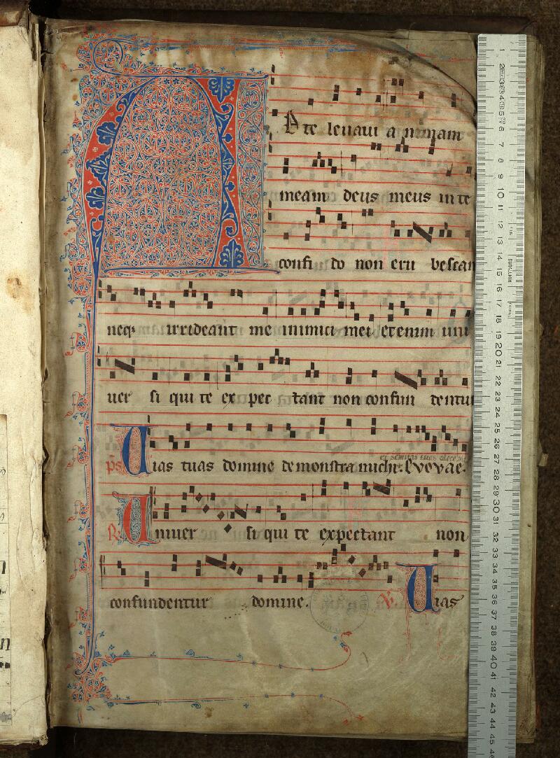 Douai, Bibl. mun., ms. 0113, t. I, f. 001 - vue 1
