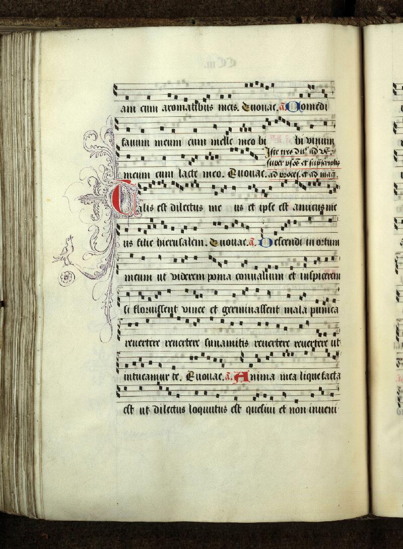 Douai, Bibl. mun., ms. 0120, f. 203v