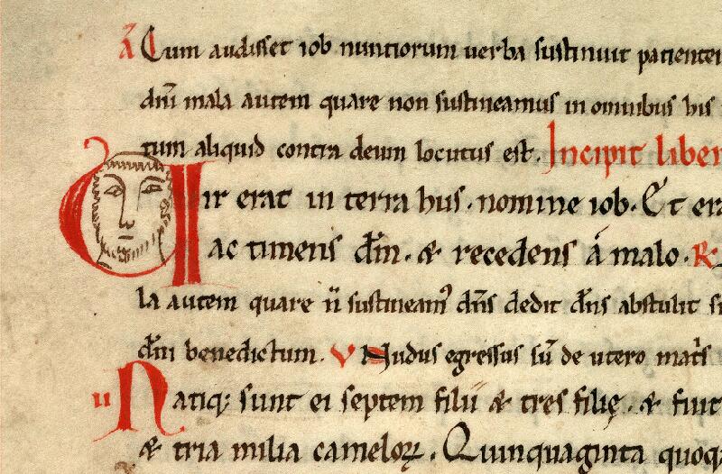 Douai, Bibl. mun., ms. 0135, f. 031v