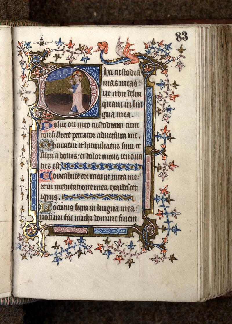 Douai, Bibl. mun., ms. 0175, f. 083 - vue 1