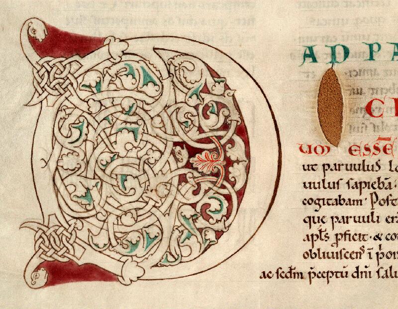 Douai, Bibl. mun., ms. 0239, t. I, f. 137v - vue 2