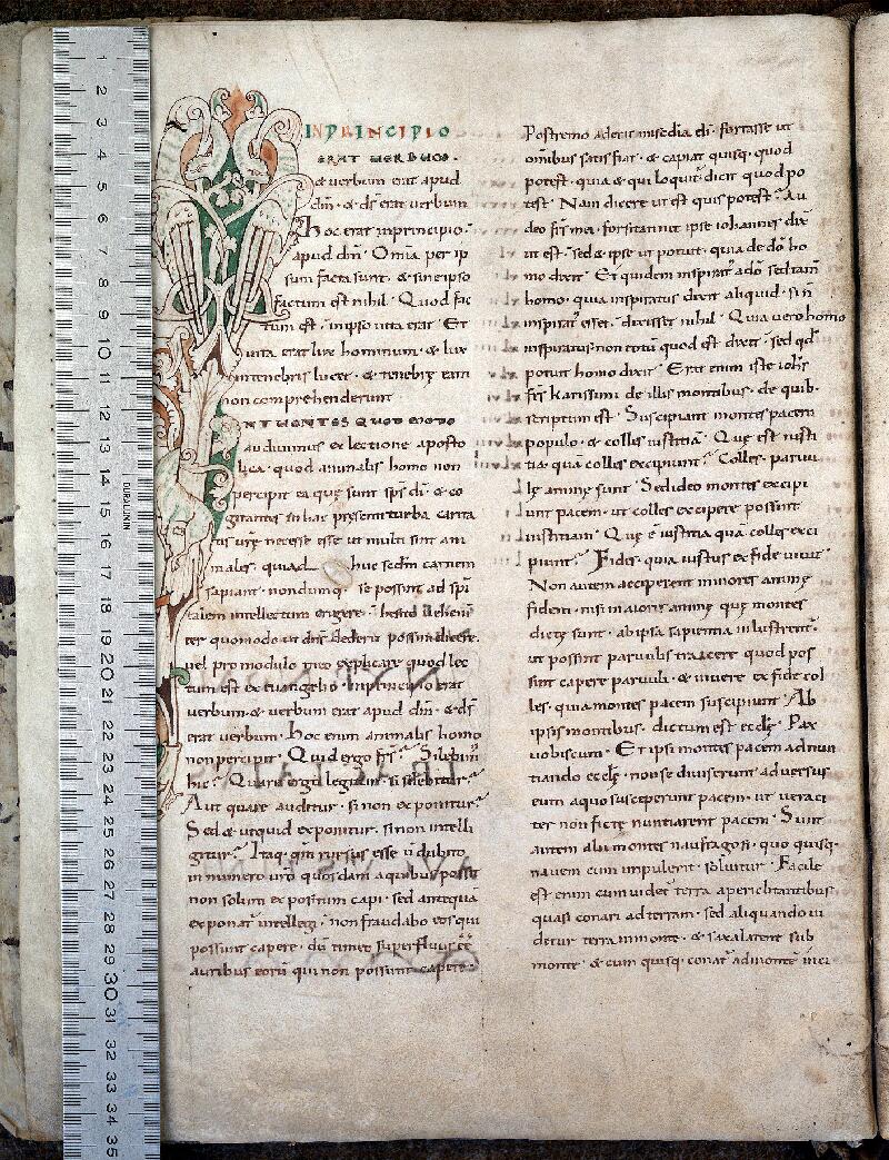 Douai, Bibl. mun., ms. 0255, f. 001v - vue 1