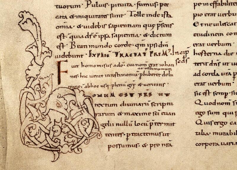Douai, Bibl. mun., ms. 0255, f. 005v