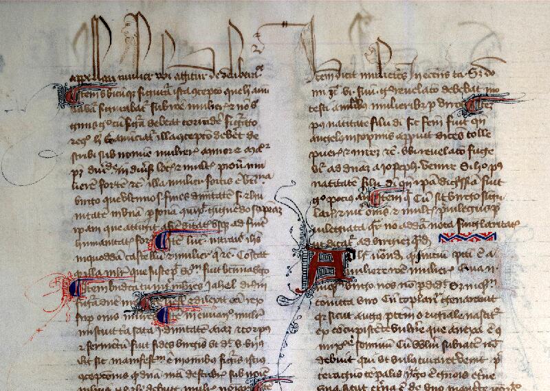 Douai, Bibl. mun., ms. 0355, f. 010v