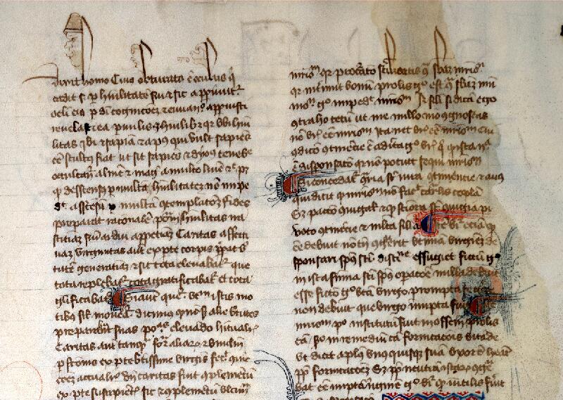 Douai, Bibl. mun., ms. 0355, f. 012