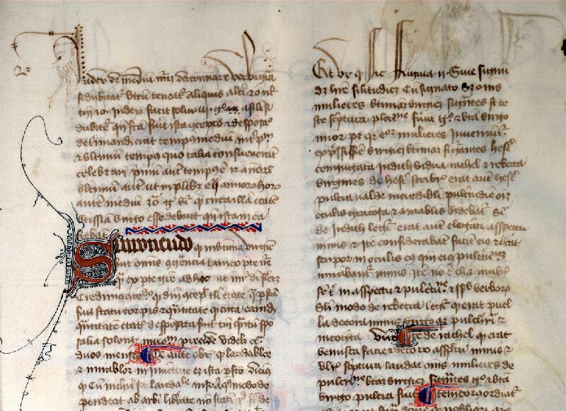 Douai, Bibl. mun., ms. 0355, f. 013