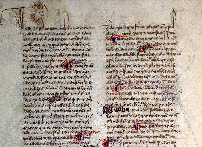 Douai, Bibl. mun., ms. 0355, f. 013v
