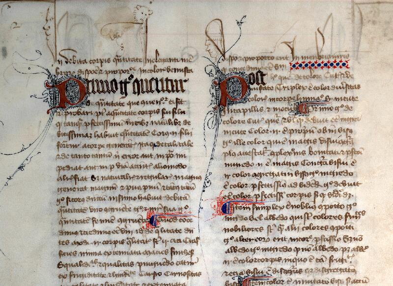 Douai, Bibl. mun., ms. 0355, f. 014v - vue 1