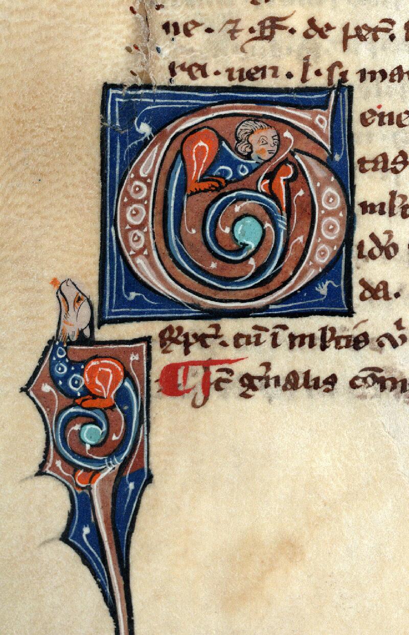 Douai, Bibl. mun., ms. 0639, f. 060v - vue 2