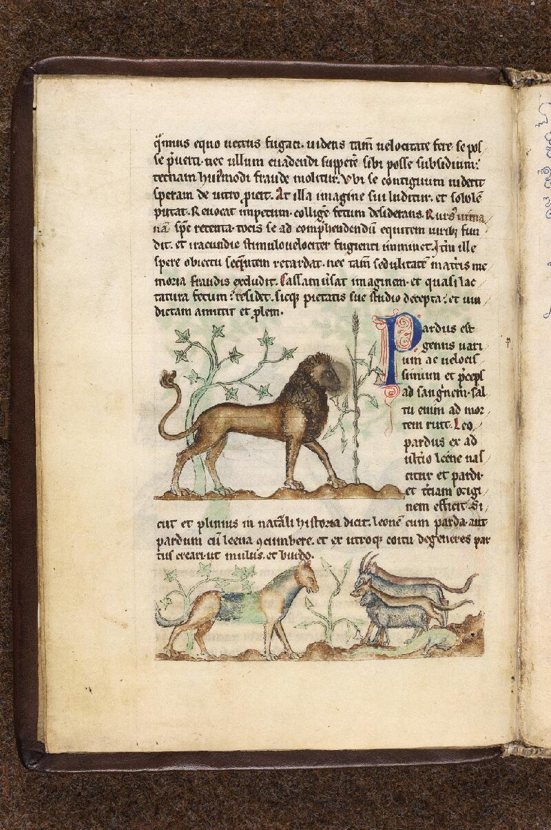 Douai, Bibl. mun., ms. 0711, f. 002v - vue 1