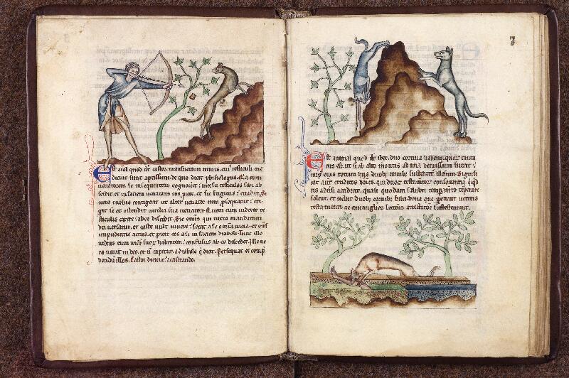 Douai, Bibl. mun., ms. 0711, f. 006v-007