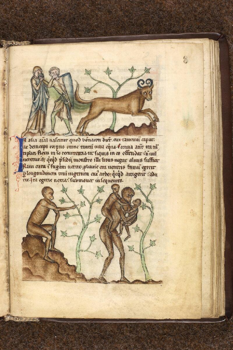 Douai, Bibl. mun., ms. 0711, f. 008 - vue 1