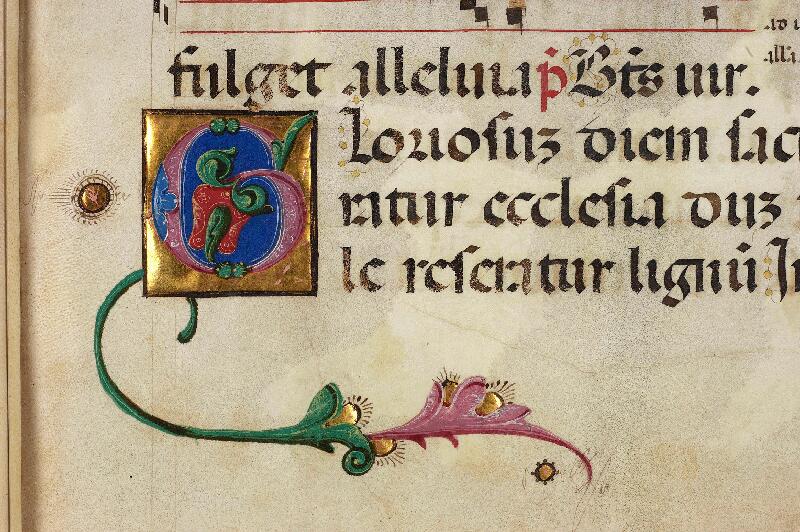 Douai, Bibl. mun., ms. 1173, t. II, f. 043