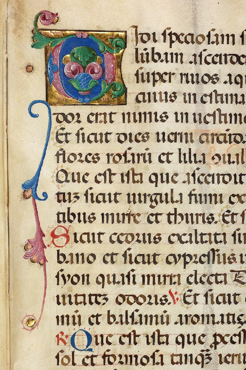 Douai, Bibl. mun., ms. 1173, t. II, f. 085