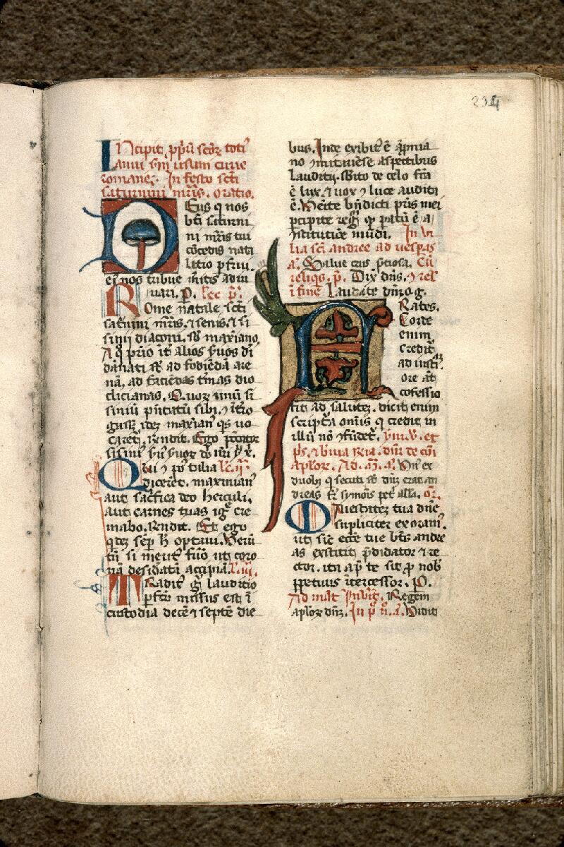 Draguignan, Bibl. mun., ms. 0002, f. 234 - vue 1