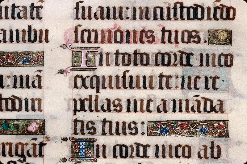 Foix, Bibl. mun., ms. 0056, f. 023