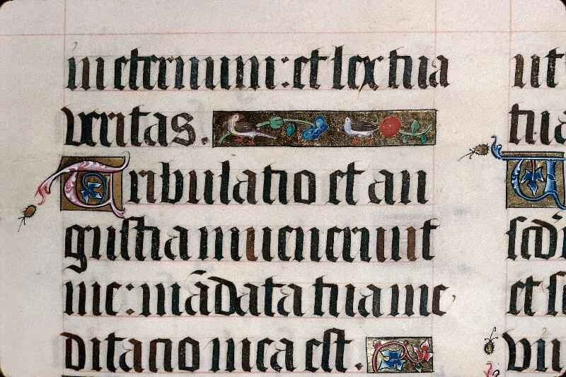 Foix, Bibl. mun., ms. 0056, f. 031