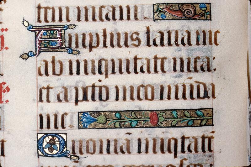 Foix, Bibl. mun., ms. 0056, f. 042v