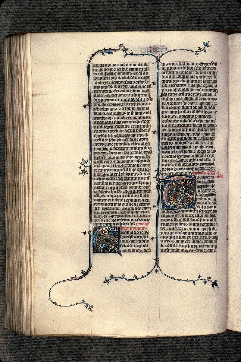 Langres, Bibl. mun., ms. 0001, f. 195v