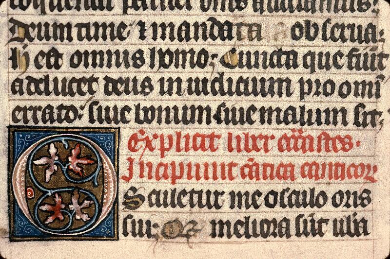Langres, Bibl. mun., ms. 0001, f. 244v - vue 2