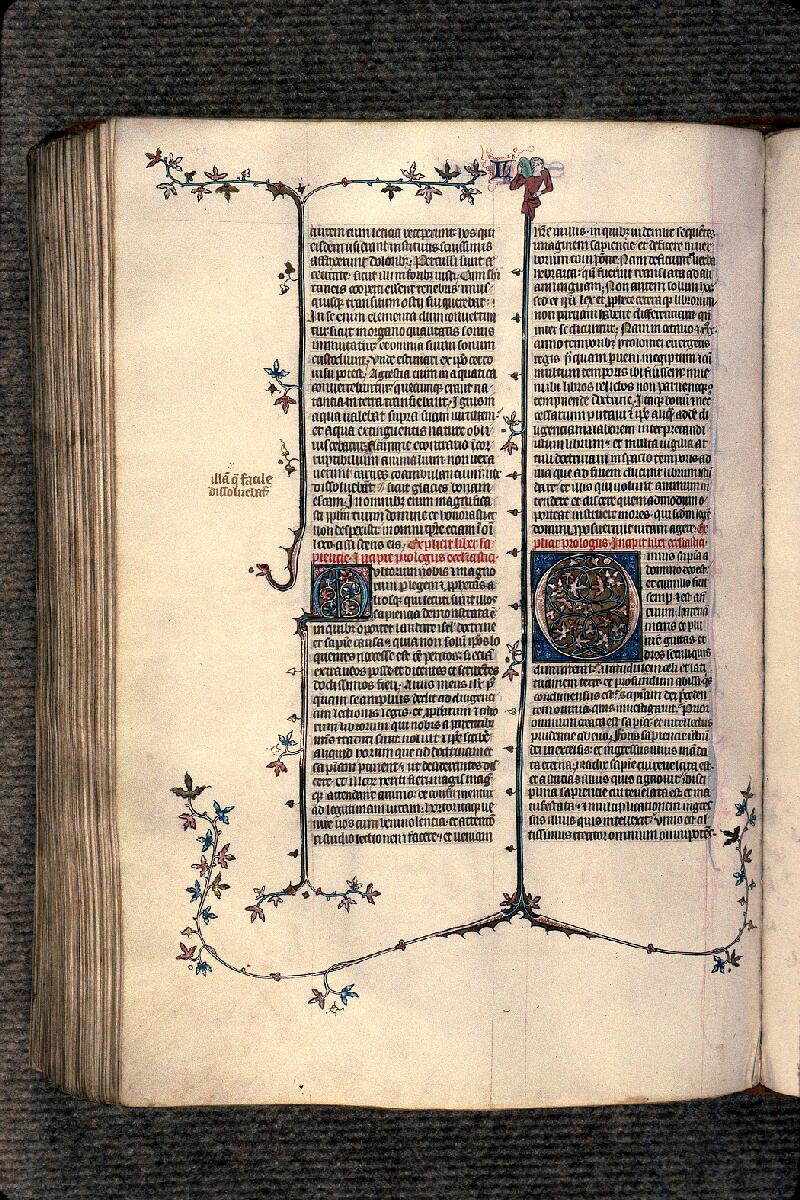 Langres, Bibl. mun., ms. 0001, f. 254v - vue 1