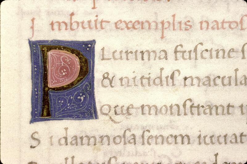 Nice, Bibl. mun., ms. 0085, f. 073