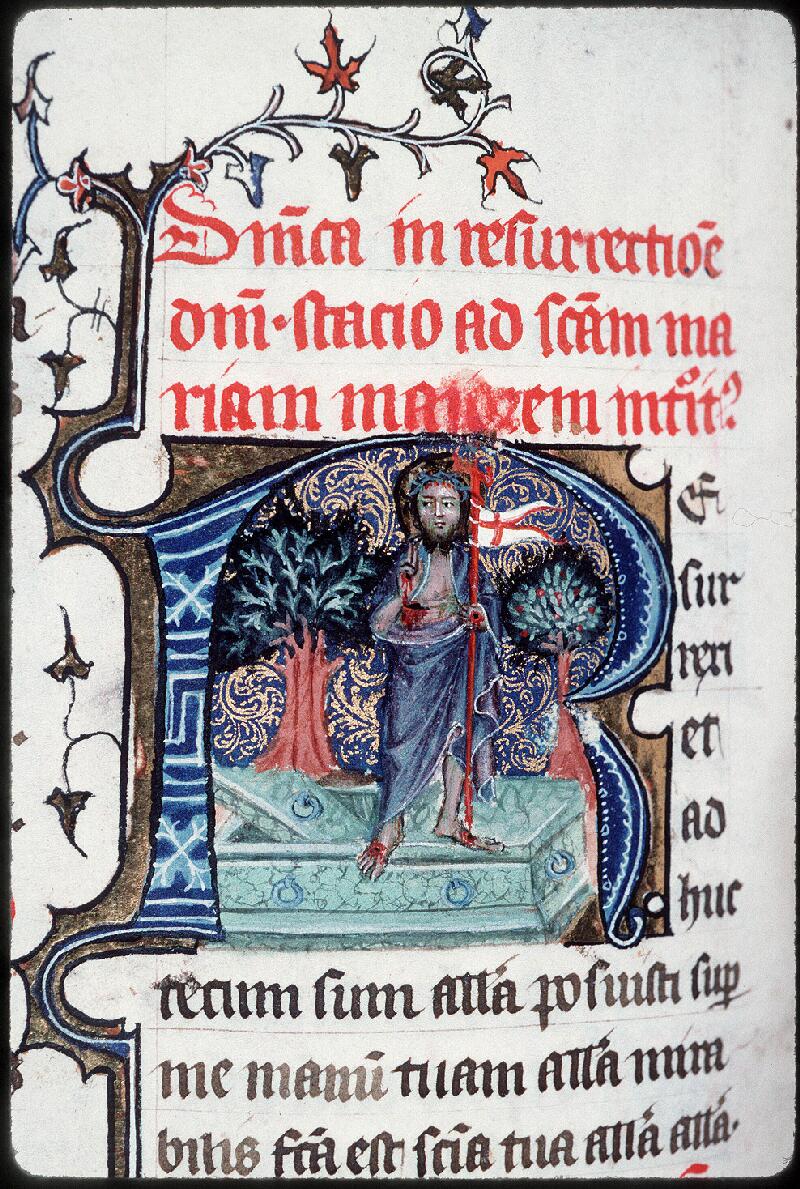 Orléans, Bibl. mun., ms. 0126, f. 185v