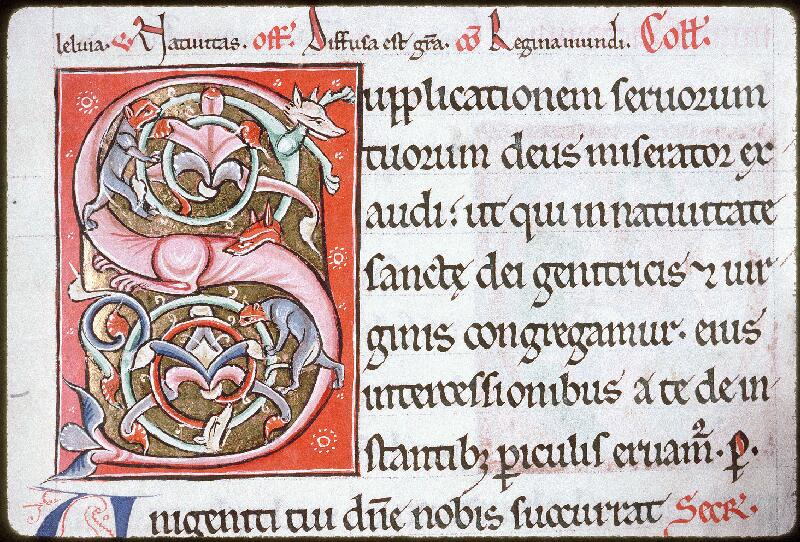 Orléans, Bibl. mun., ms. 0144, f. 095