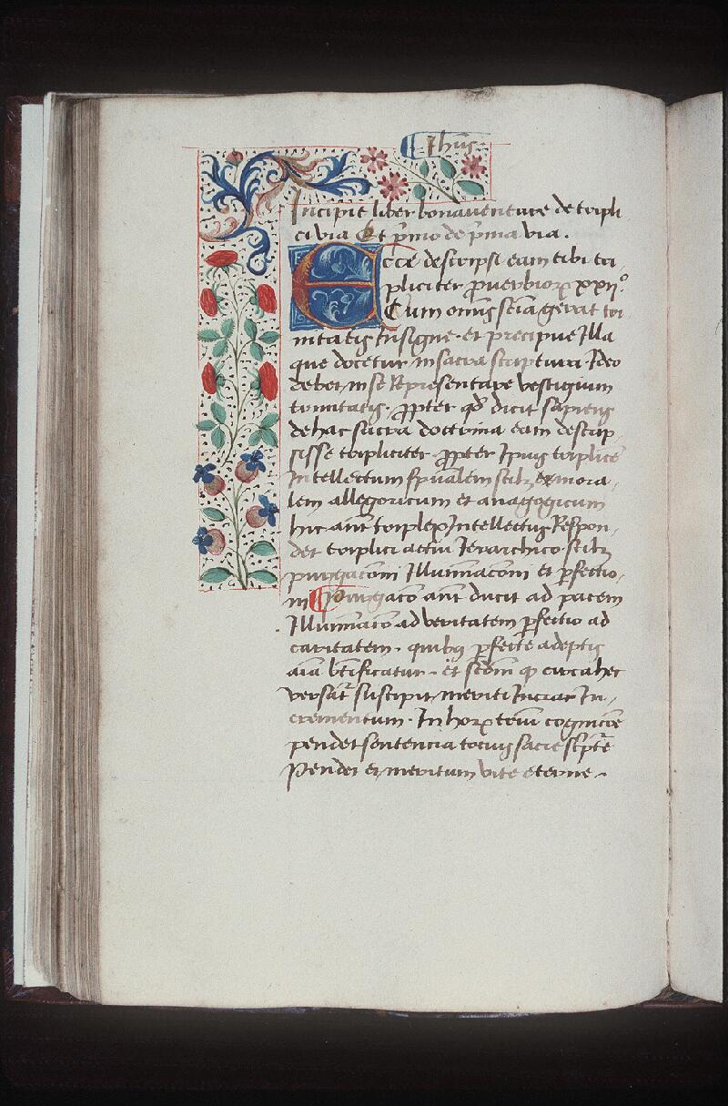 Orléans, Bibl. mun., ms. 0189, p. 055v