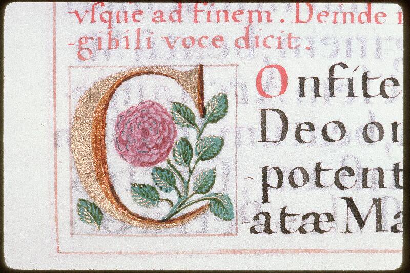 Orléans, Bibl. mun., ms. 0142, p. 239