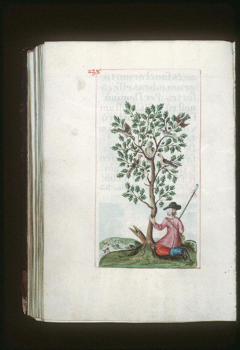 Orléans, Bibl. mun., ms. 0142, p. 238