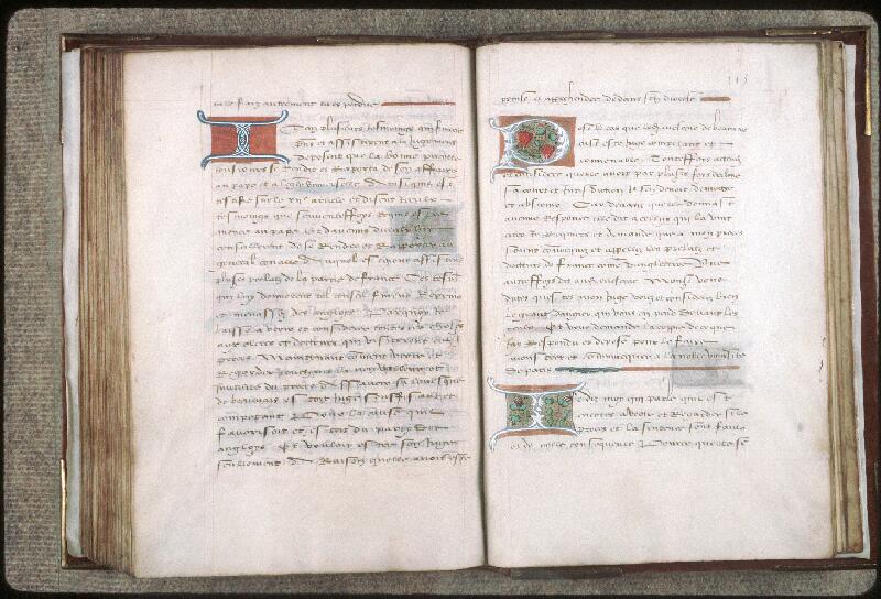 Orléans, Bibl. mun., ms. 1673, f. 114v-115