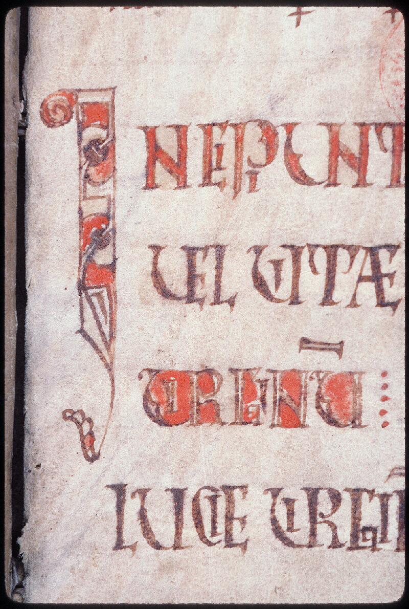 Orléans, Bibl. mun., ms. 0341, p. 117 - vue 2