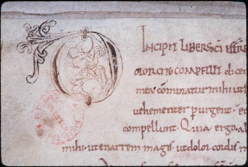 Orléans, Bibl. mun., ms. 0333, p. 064 - vue 3