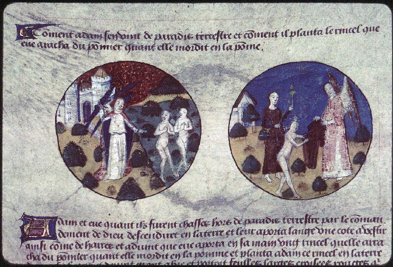 Orléans, Bibl. mun., ms. 0470 - vue 15