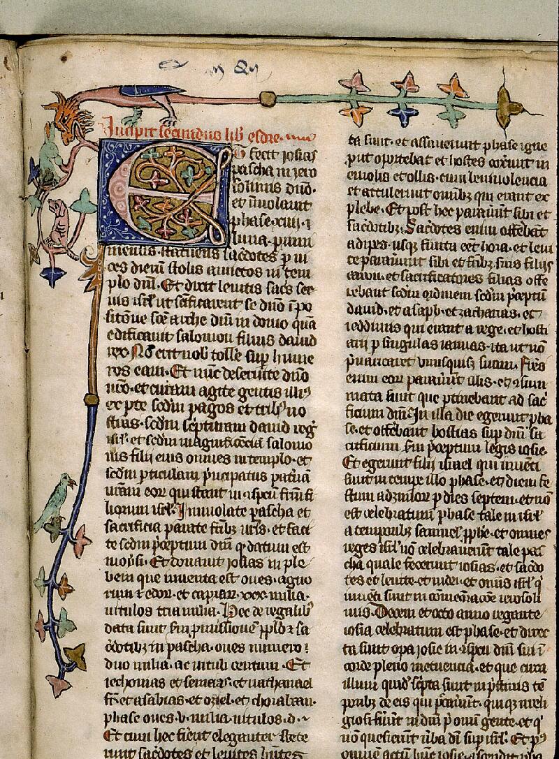 Paris, Bibl. Sainte-Geneviève, ms. 1179, f. 556