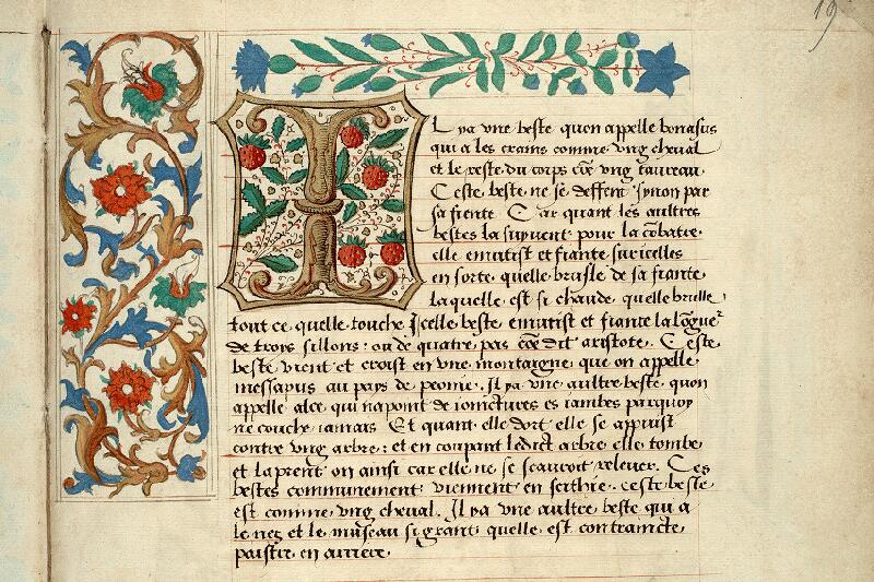 Paris, Bibl. de l'Institut de France, ms. 0270, p. 019