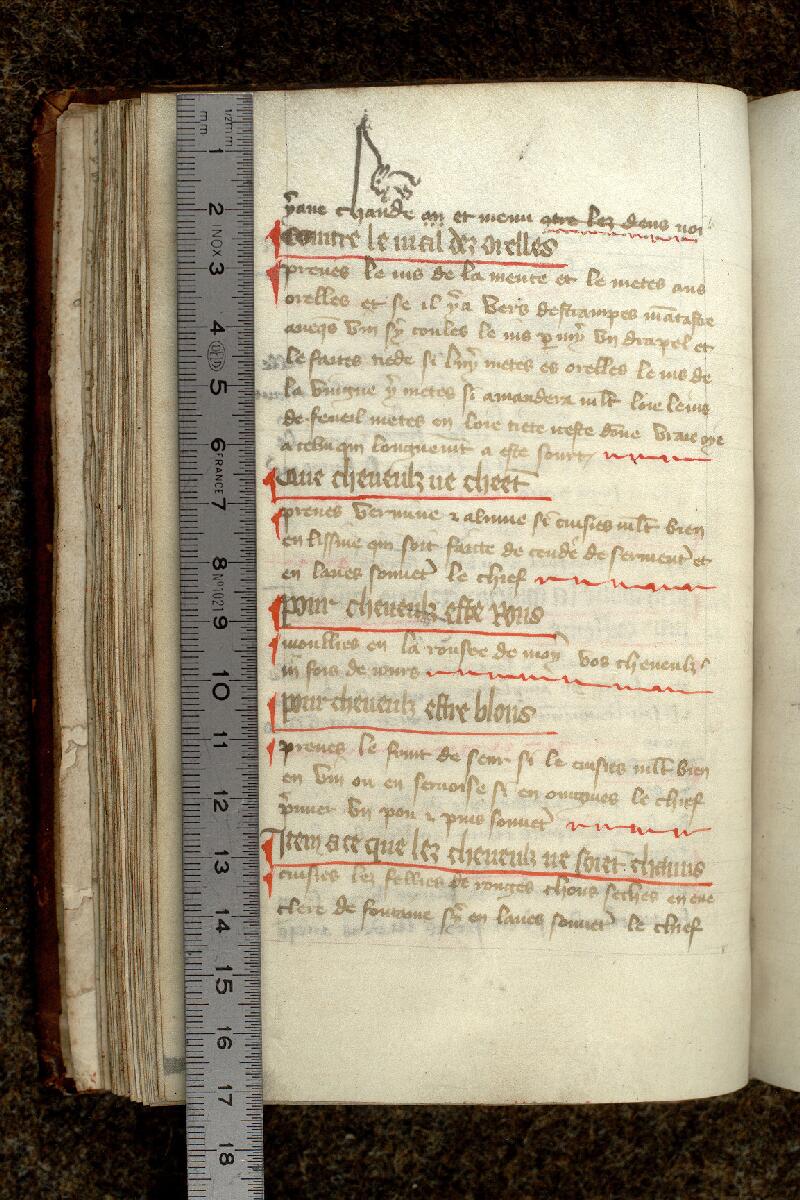 Paris, Bibl. de l'Institut de France, ms. 0791, f. 032v - vue 1