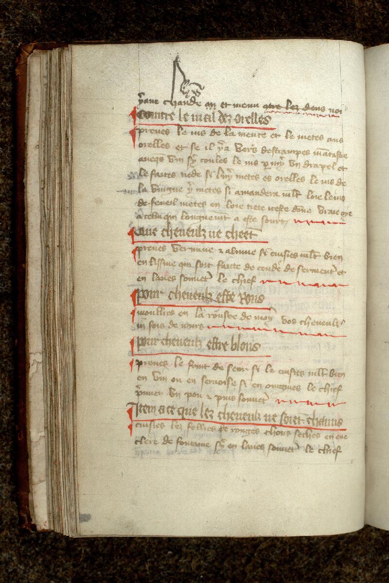 Paris, Bibl. de l'Institut de France, ms. 0791, f. 032v - vue 2