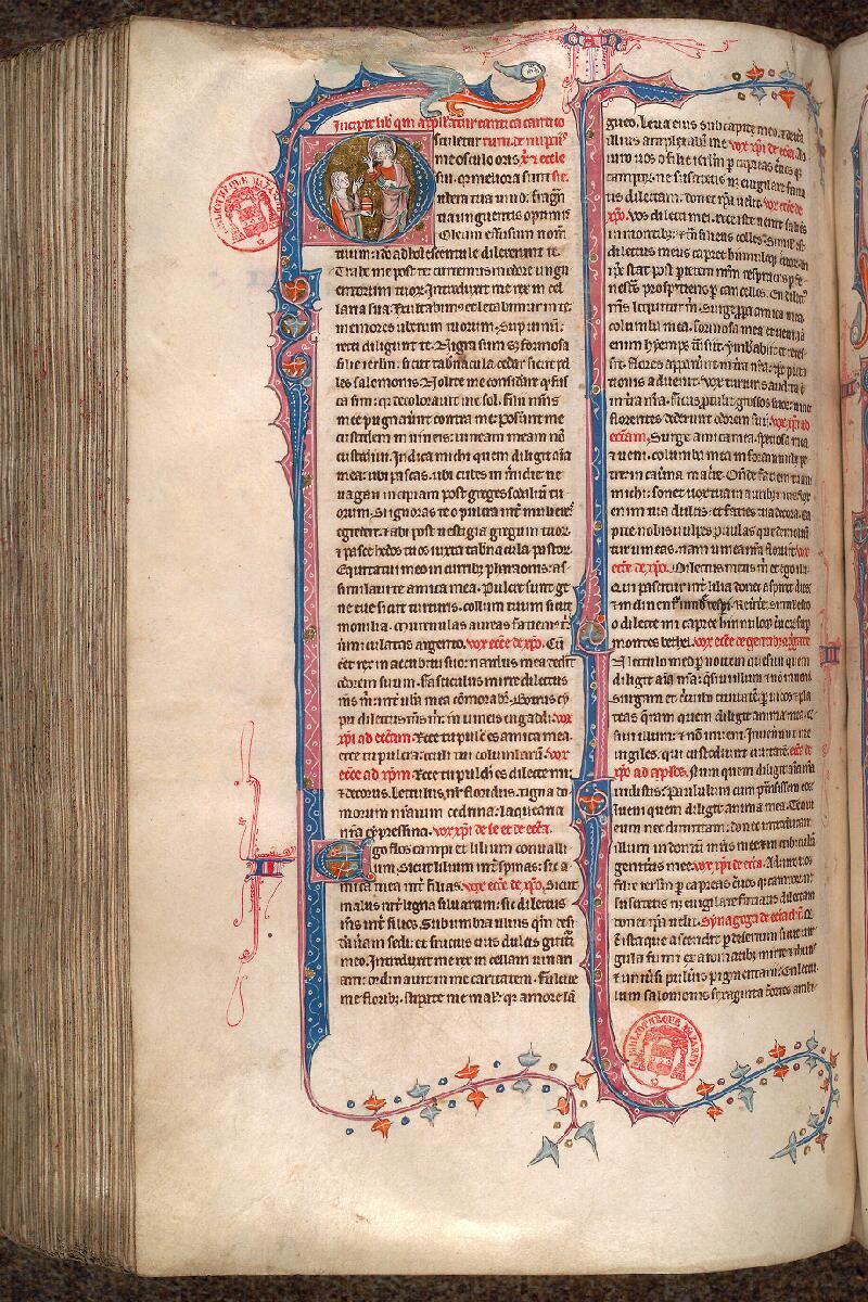 Paris, Bibl. Mazarine, ms. 0034, f. 317v - vue 1