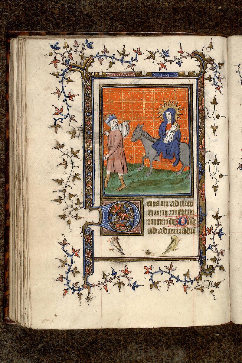 Paris, Bibl. Mazarine, ms. Faralicq 06, f. 061v - vue 1