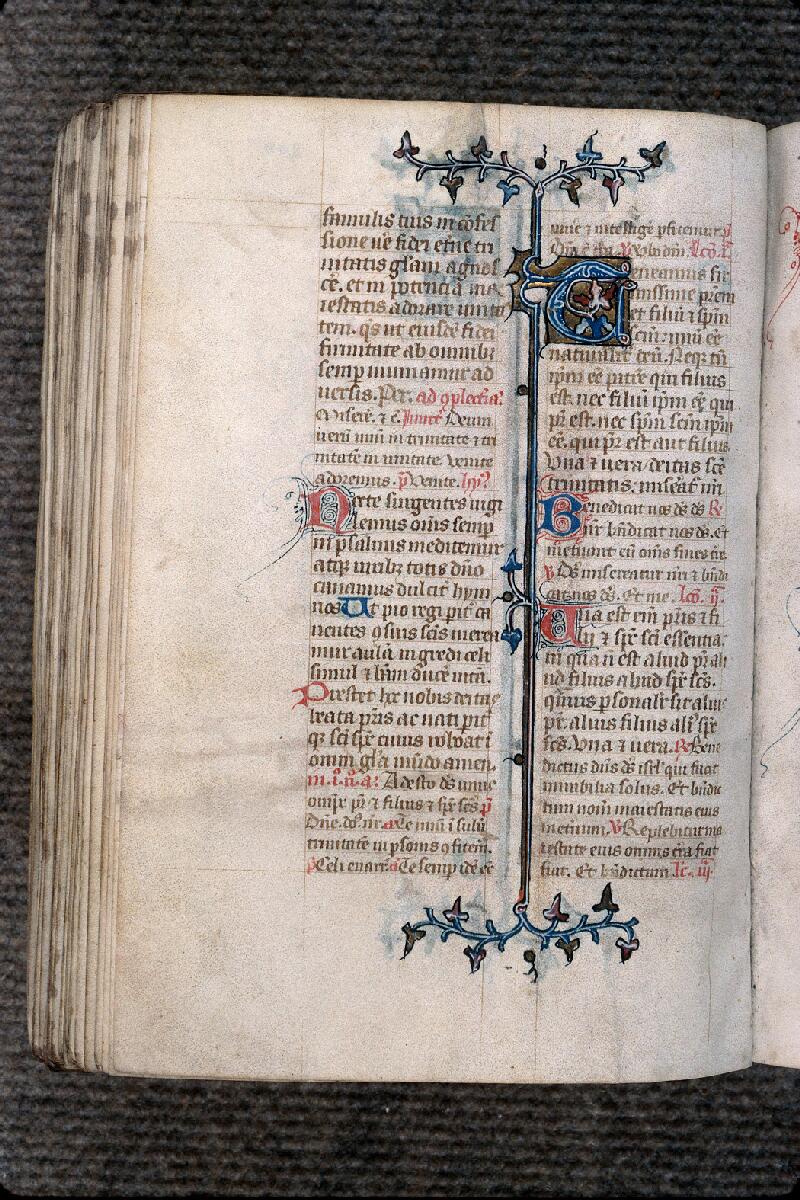 Provins, Bibl. mun., ms. 0007, f. 208v
