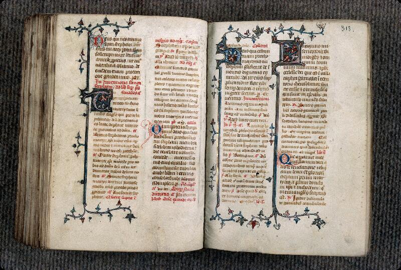 Provins, Bibl. mun., ms. 0007, f. 312v-313